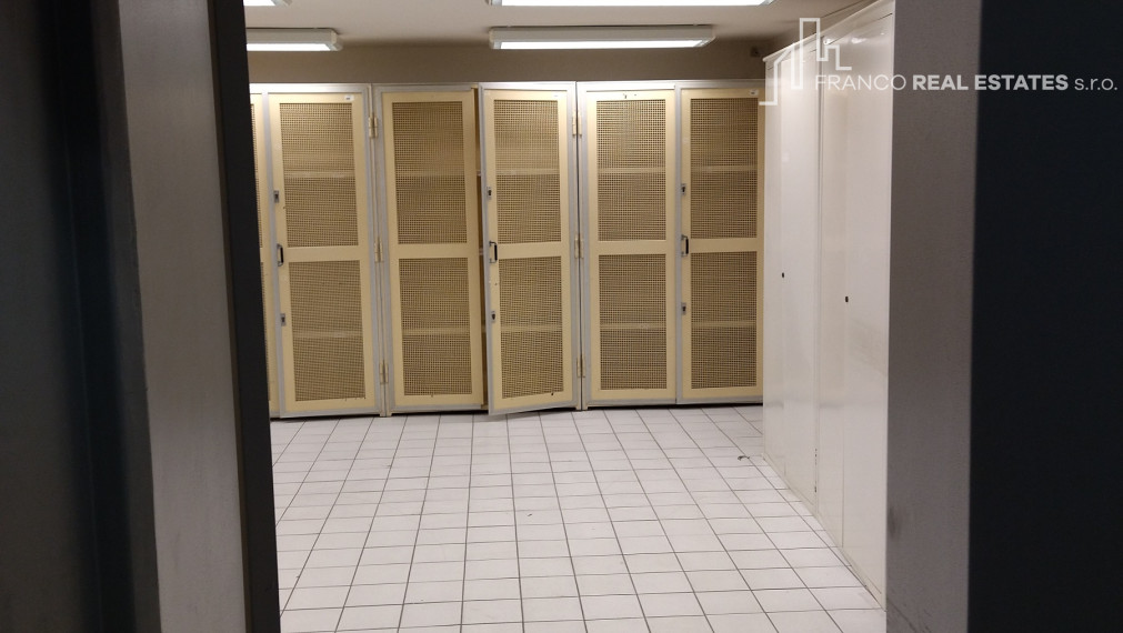 Skladové priestory v centre mesta Senica